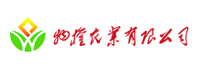 物权公司Logo.jpg
