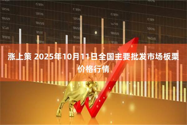 涨上策 2025年10月11日全国主要批发市场板栗价格行情
