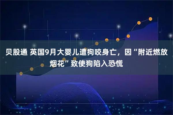 贝股通 英国9月大婴儿遭狗咬身亡,因“附近燃放烟花”致使狗陷入恐慌