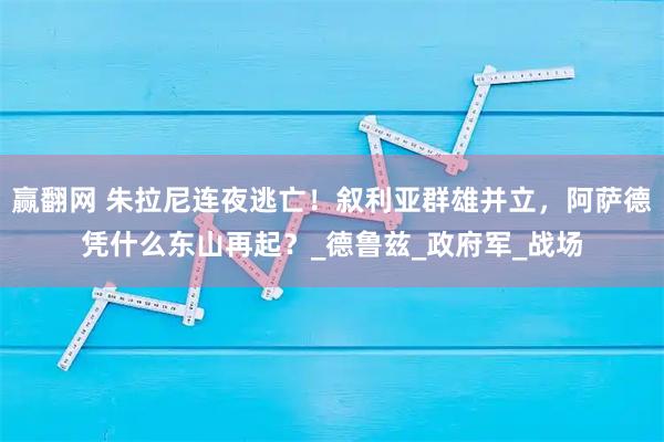 赢翻网 朱拉尼连夜逃亡！叙利亚群雄并立，阿萨德凭什么东山再起？_德鲁兹_政府军_战场